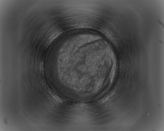 X0000096950881200802291053