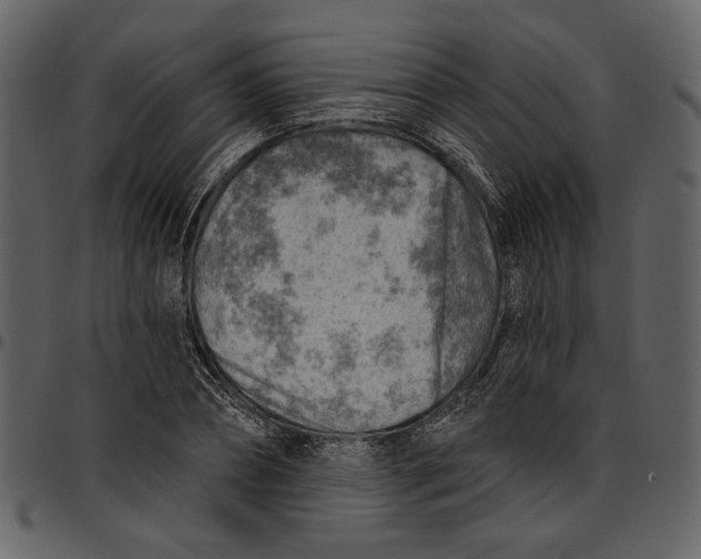 X0000096950882200802291053