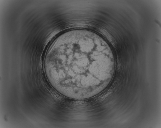 X0000096950883200802291053