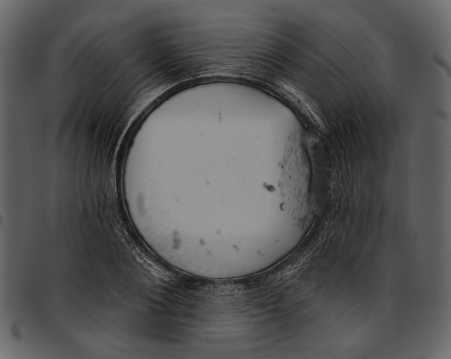 X0000096950884200802291053