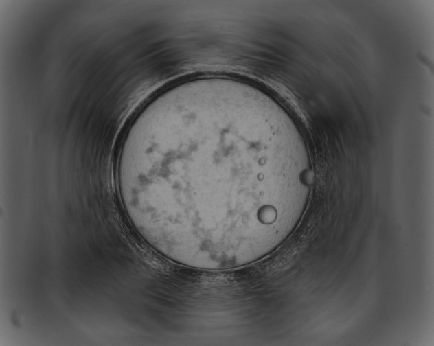 X0000096950887200802291053