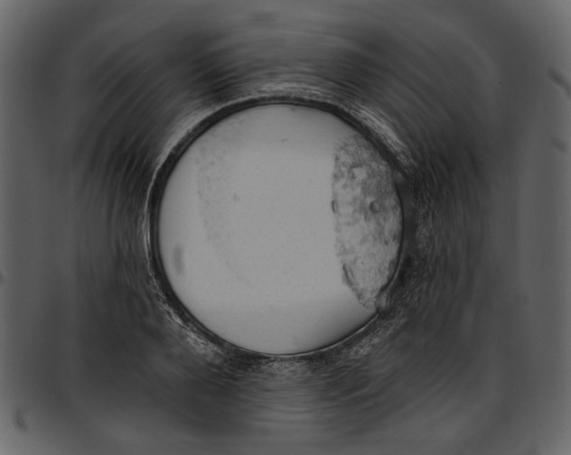 X0000096950888200802291053