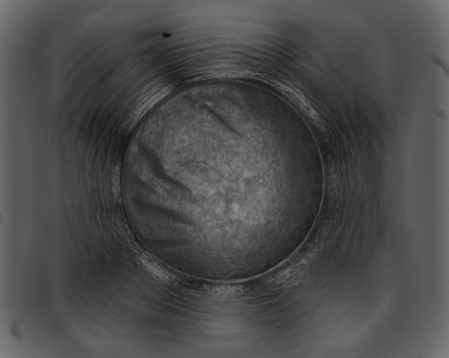 X0000096950889200802291053