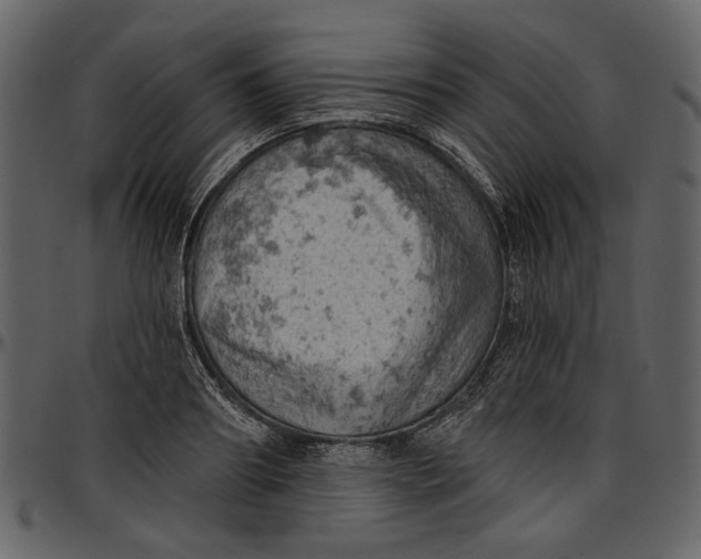 X0000096950890200802291053