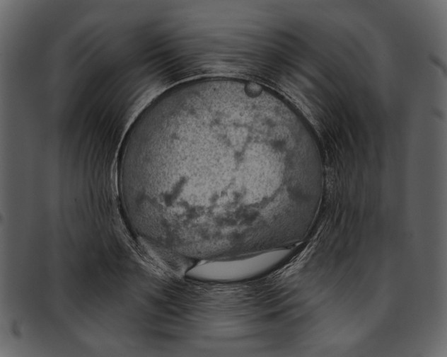 X0000096950891200802291053