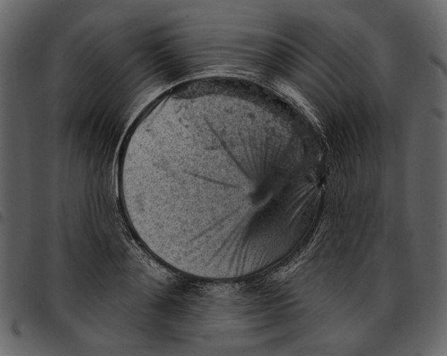 X0000096950892200802291053