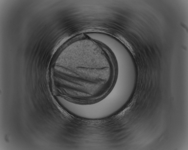 X0000096950893200802291053