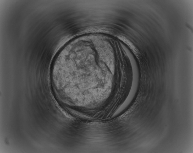 X0000096950894200802291053