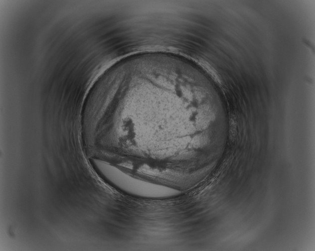 X0000096950895200802291053