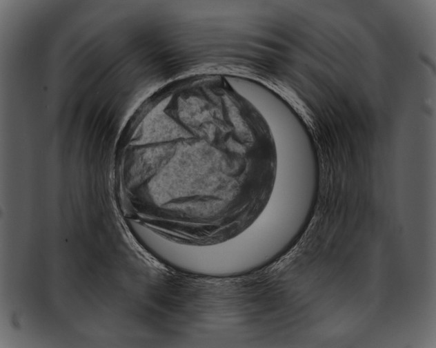 X0000096950896200802291053