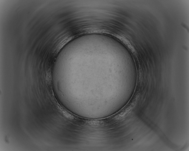 X0000096950897200802291053