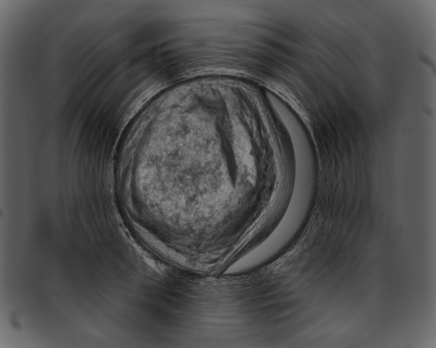 X0000096950898200802291053