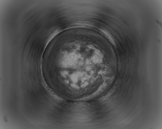 X0000096950899200802291053