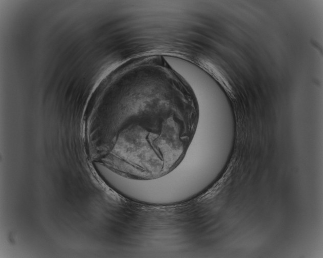 X0000096950900200802291053