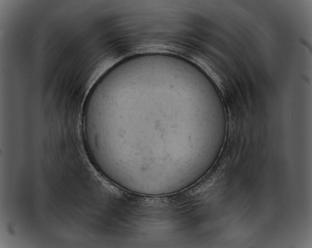 X0000096950901200802291053