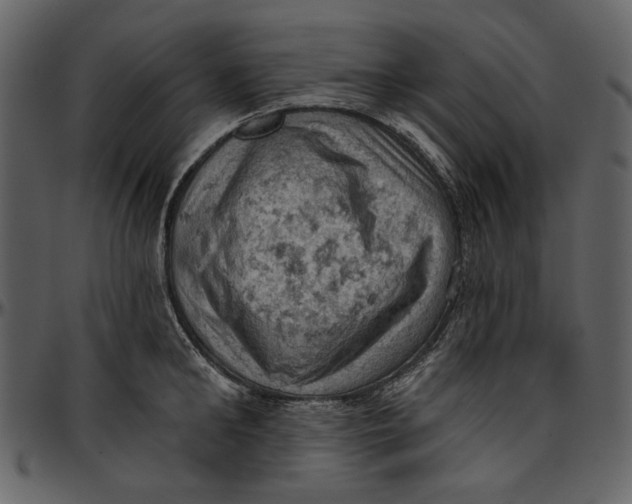 X0000096950902200802291053