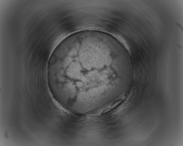 X0000096950903200802291053