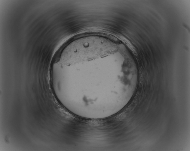 X0000096950904200802291053