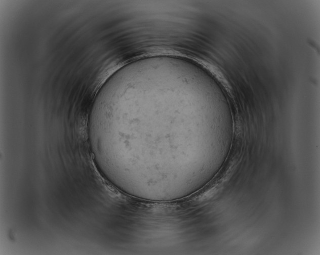 X0000096950905200802291053