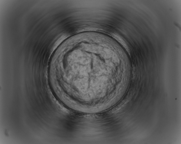 X0000096950906200802291053