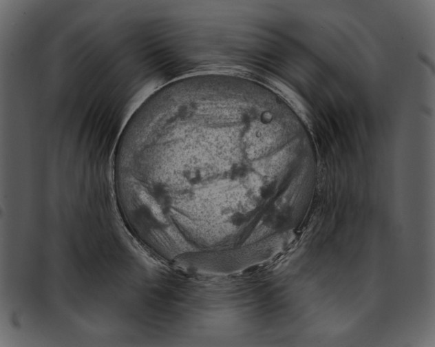 X0000096950907200802291053