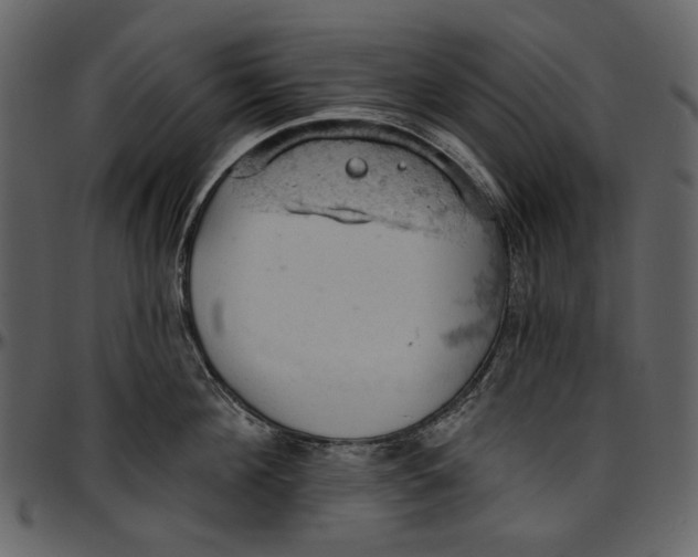 X0000096950908200802291053