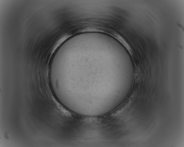 X0000096950909200802291053