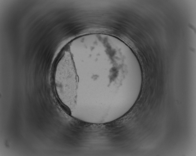 X0000096950912200802291053