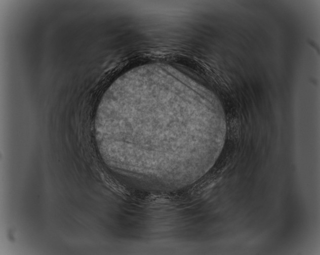 X0000096950913200802291052