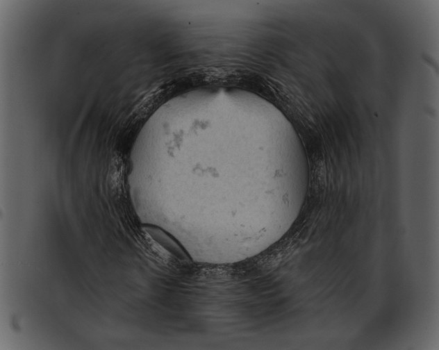 X0000096950914200802291052