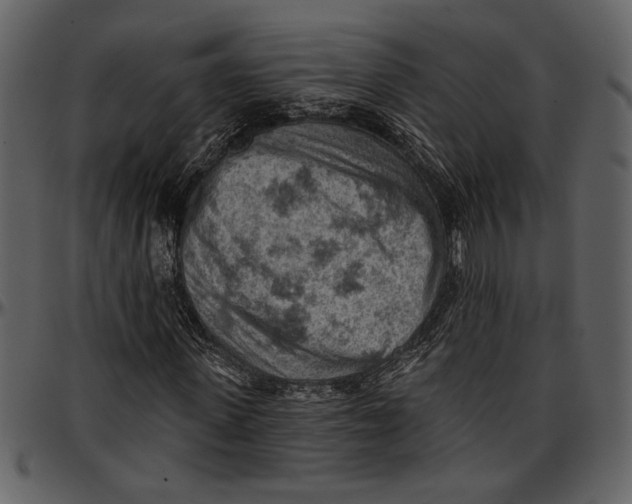 X0000096950915200802291052