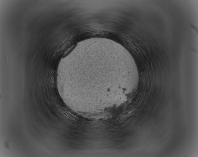 X0000096950916200802291052