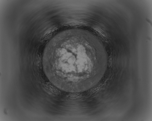 X0000096950917200802291052