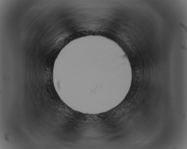 X0000096950918200802291052