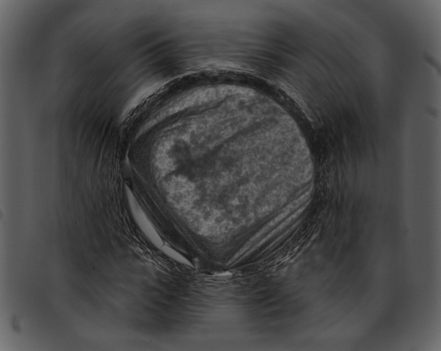 X0000096950919200802291052