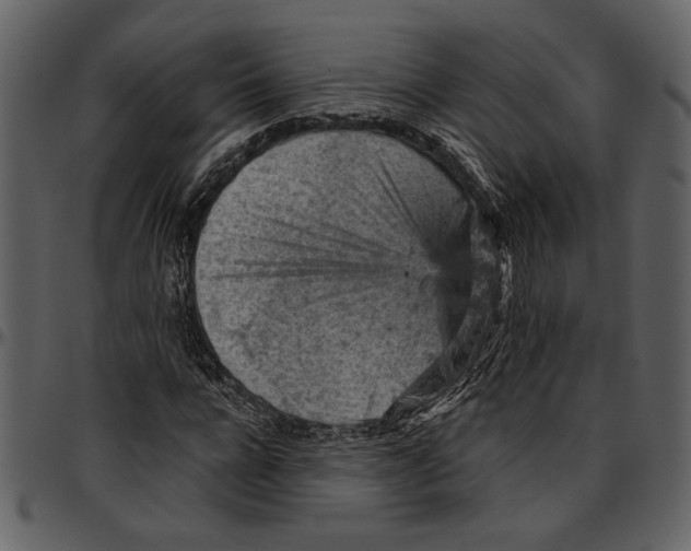 X0000096950920200802291052