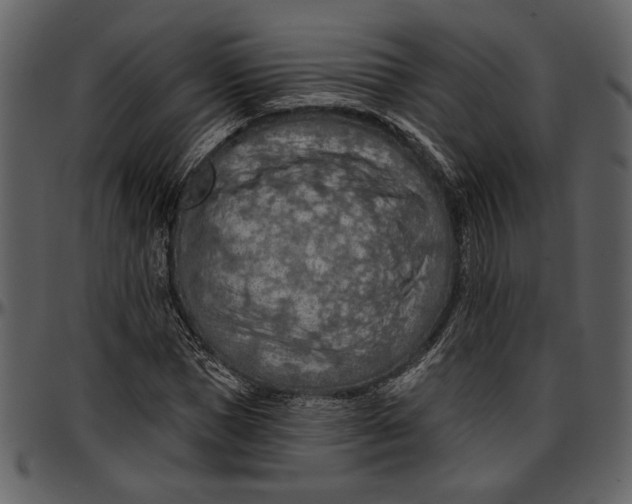 X0000096950921200802291052