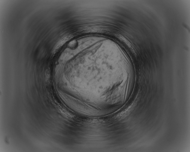 X0000096950922200802291052