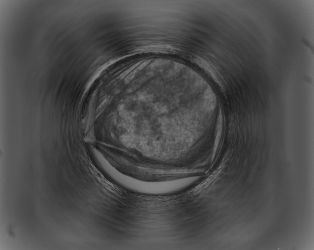 X0000096950923200802291052