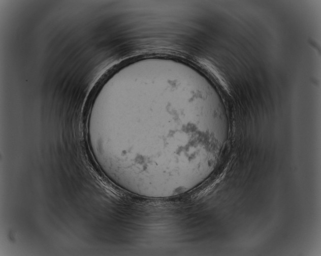 X0000096950924200802291052