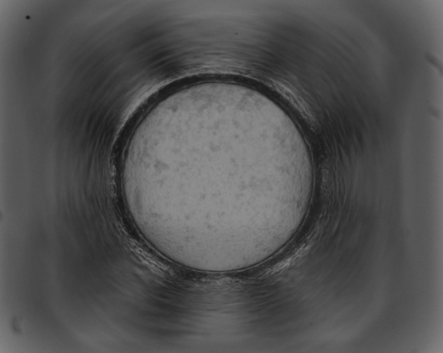 X0000096950926200802291052