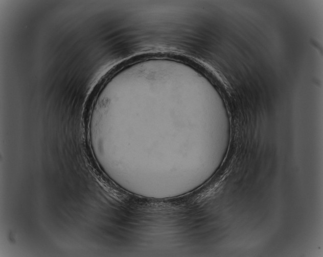 X0000096950927200802291052