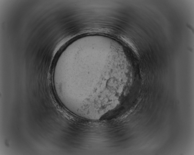 X0000096950928200802291052