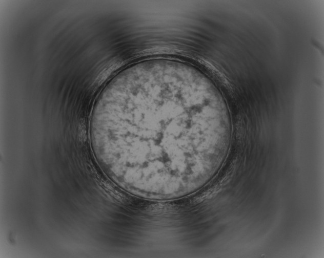 X0000096950929200802291052