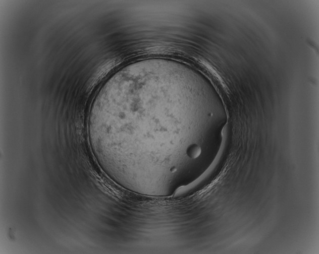 X0000096950930200802291052