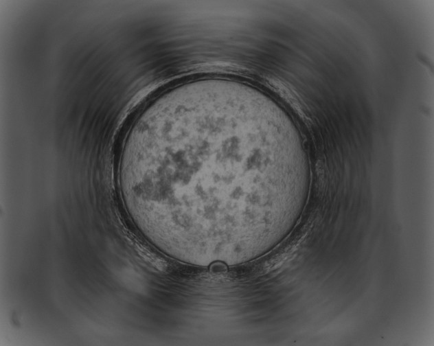 X0000096950931200802291052