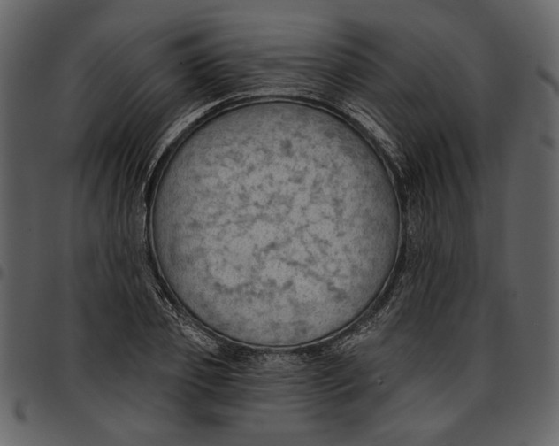 X0000096950933200802291052