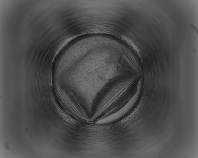 X0000096950934200802291052