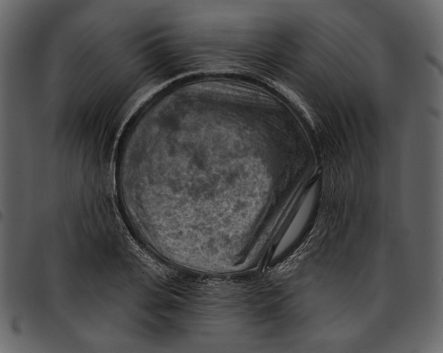 X0000096950935200802291052