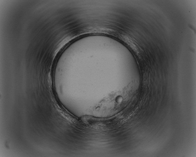 X0000096950936200802291052